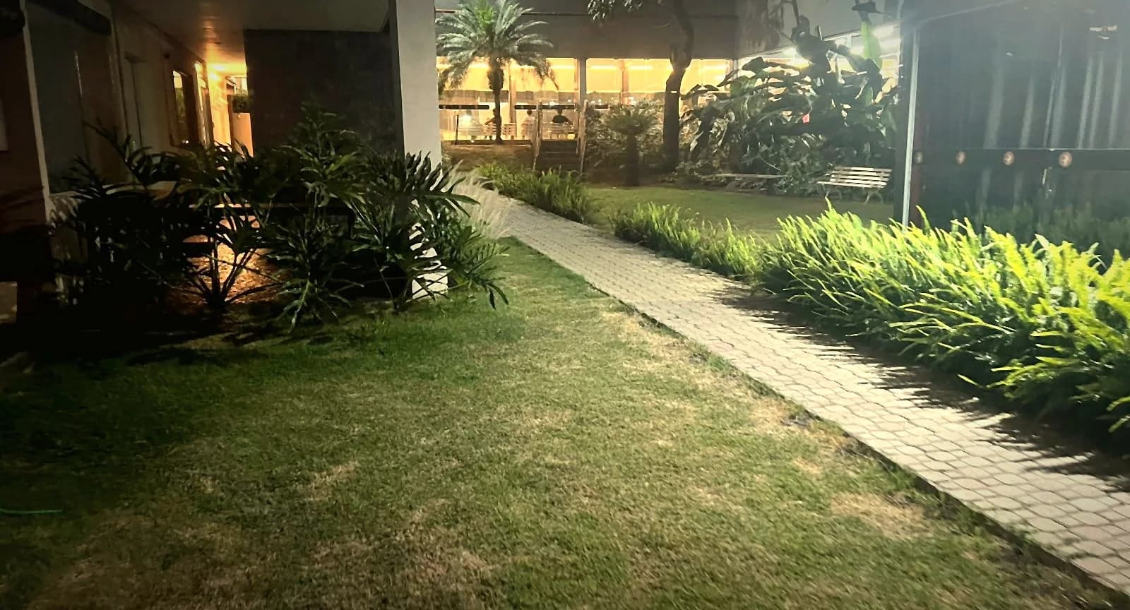 Jardim à noite
